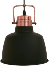 Подвесной светильник Bodmin 49692 купить с доставкой по России