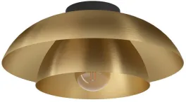 Потолочный светильник CENCIARA 900848 купить с доставкой по России